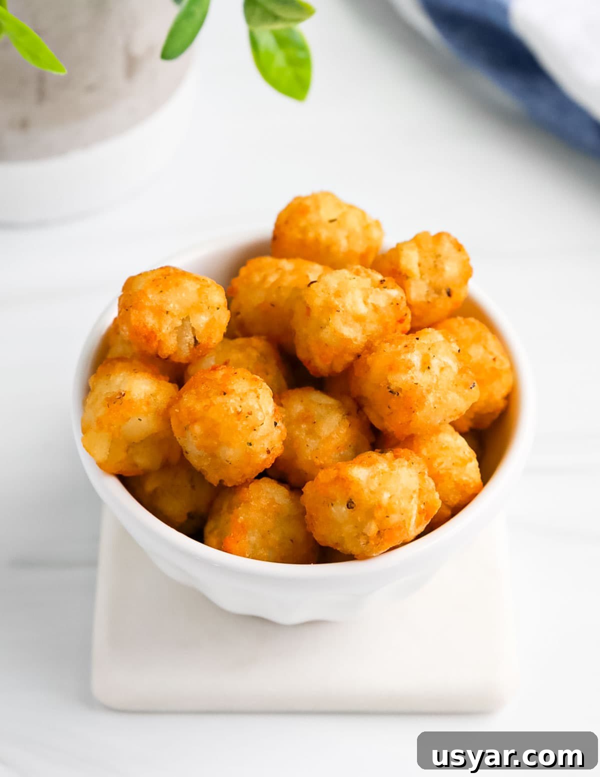 A small white dish filled with crispy tater tots.