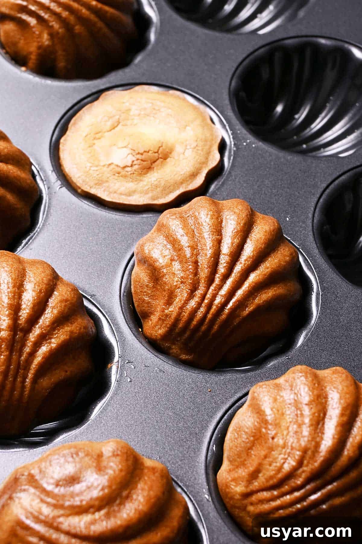 Buttery Pan-Fried Rice Cakes Recipe 3 shell shaped butter rice cakes