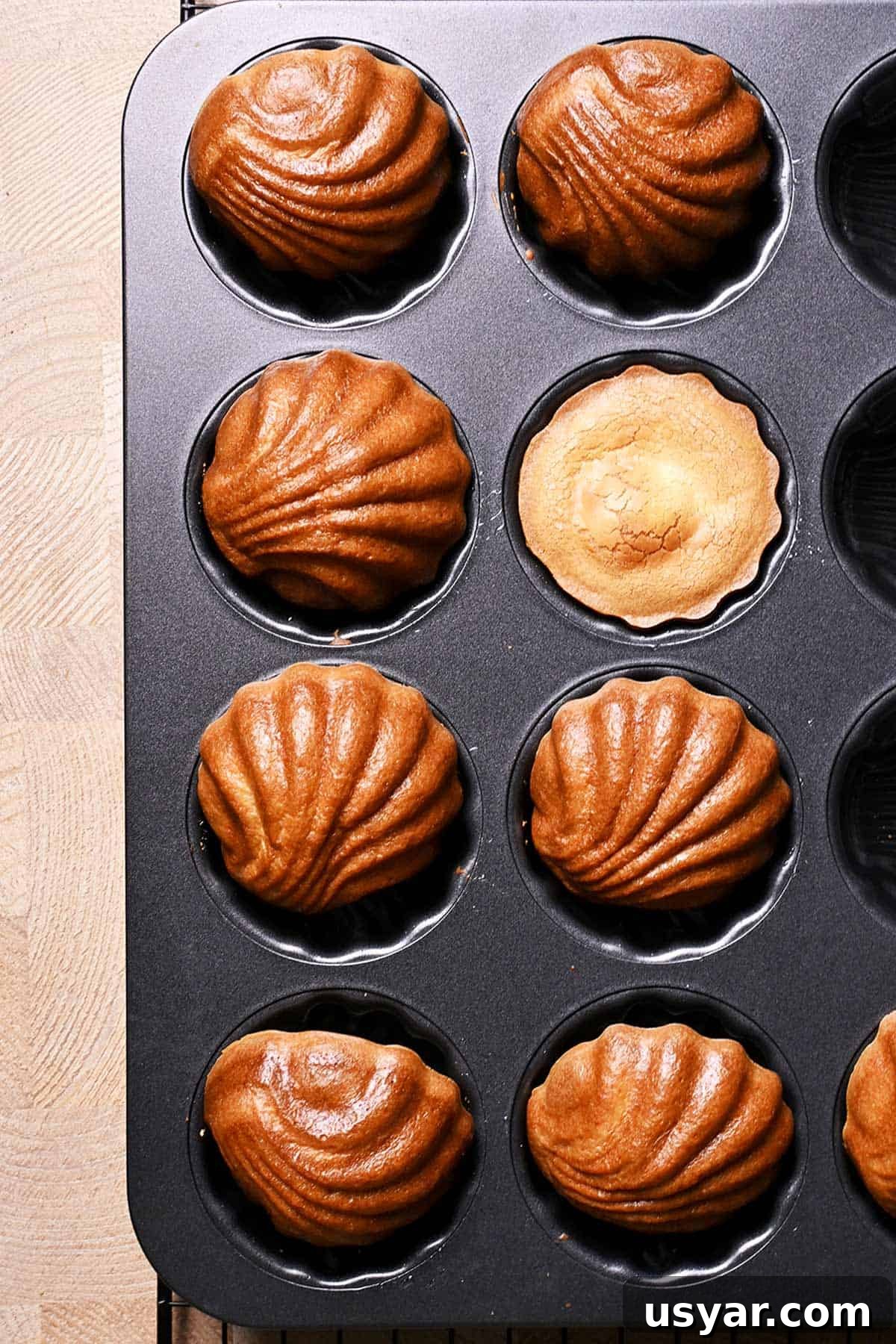 Buttery Pan-Fried Rice Cakes Recipe 5 shell shaped butter rice cakes