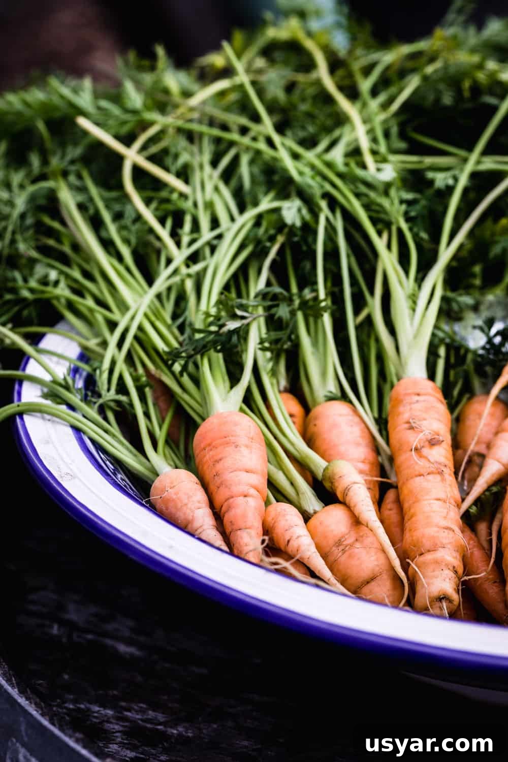 Fresh carrots from the land on display at Davero's pick up party.