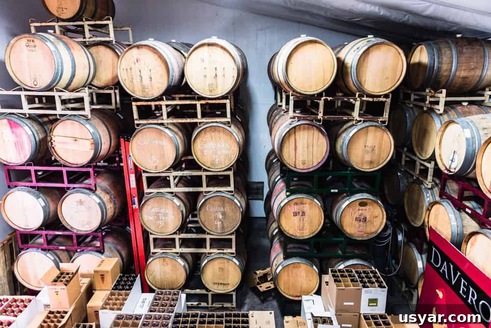 So many barrels in the wine aging room!