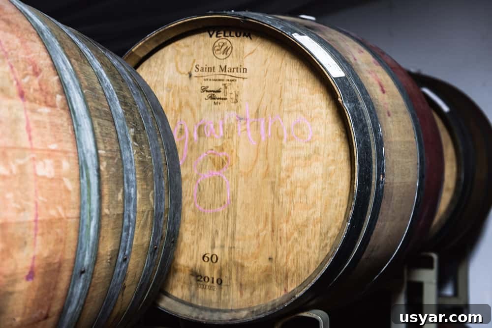 A close up of the oak barrels at Davero's biodynamic farm and winery.