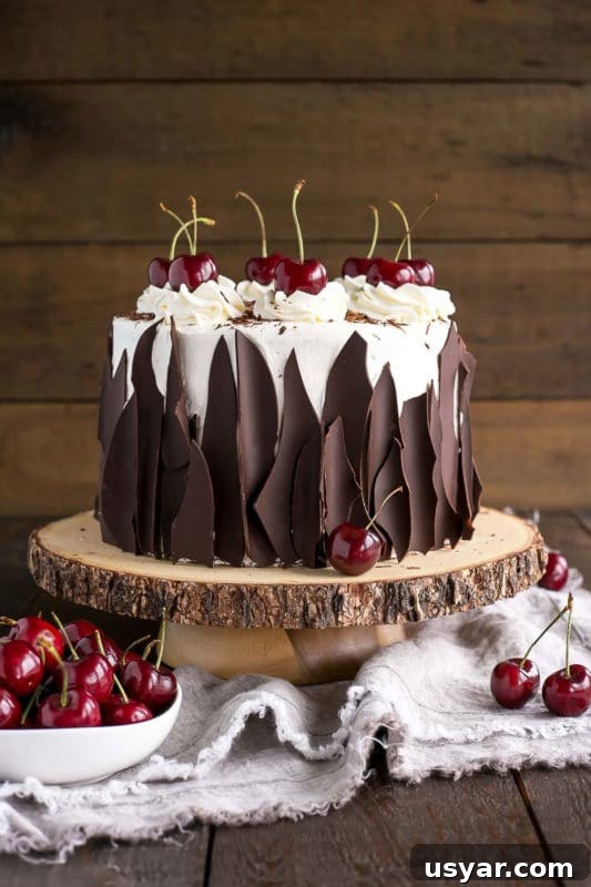 Custom Cakes for Weddings, Birthdays and Special Events 11 3 tiered Black Forest Cake topped with whipped cream and topped with cherries, bowl of red cherries on side.