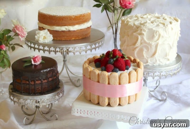 Custom Cakes for Weddings, Birthdays and Special Events 14 Display of 4 cakes: one chocolate, one white with berries and lady fingers, Once with white whipped frosting and a 2 tiered double cake.