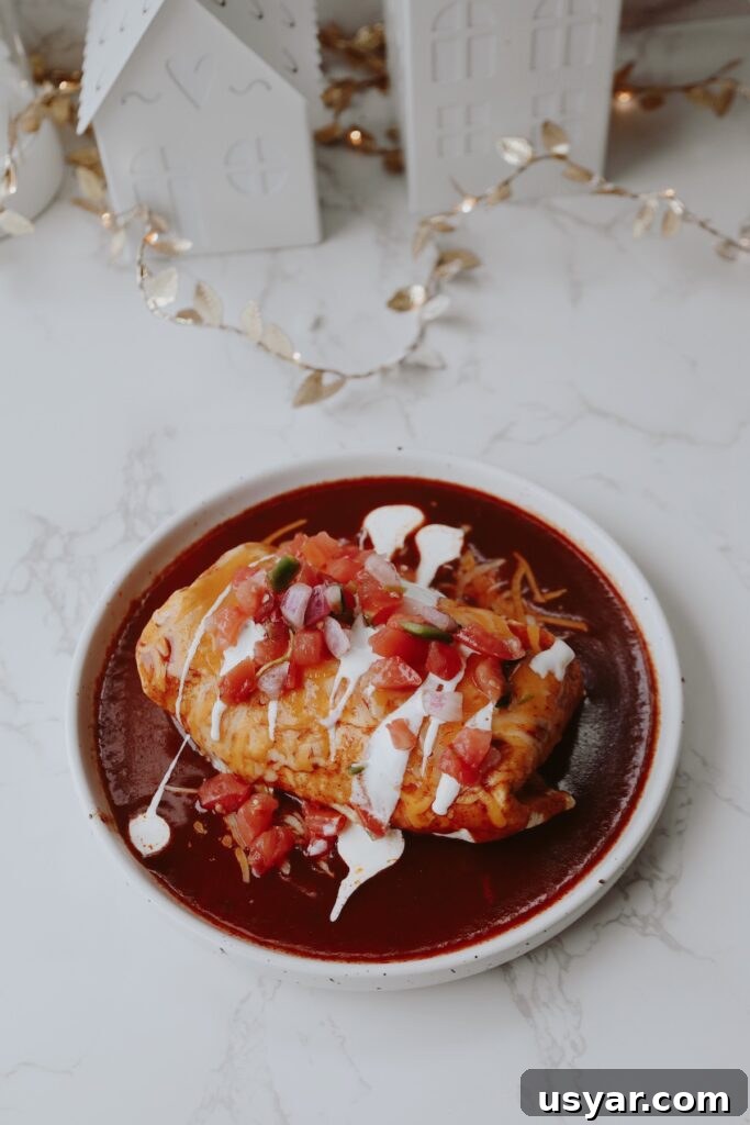 black bean burrito with pico de gallo and sauce