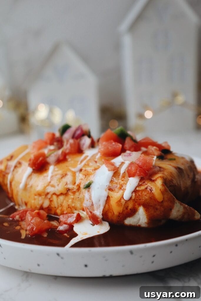 black bean burrito with toppings