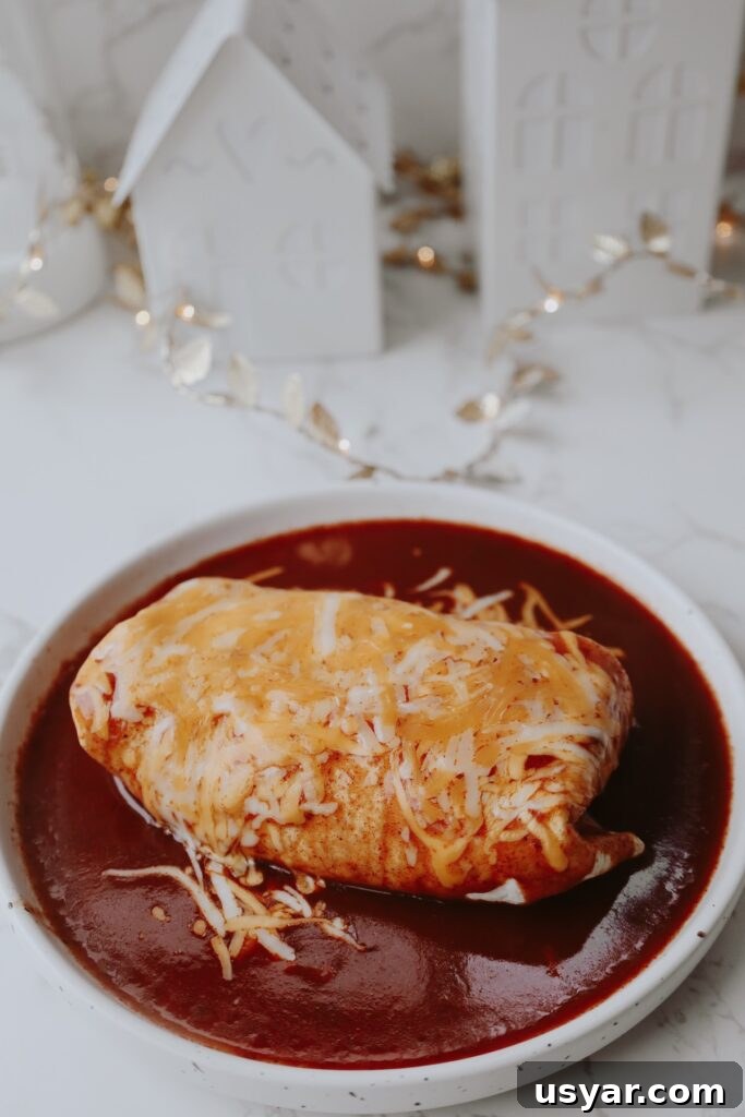 burrito with melted cheese