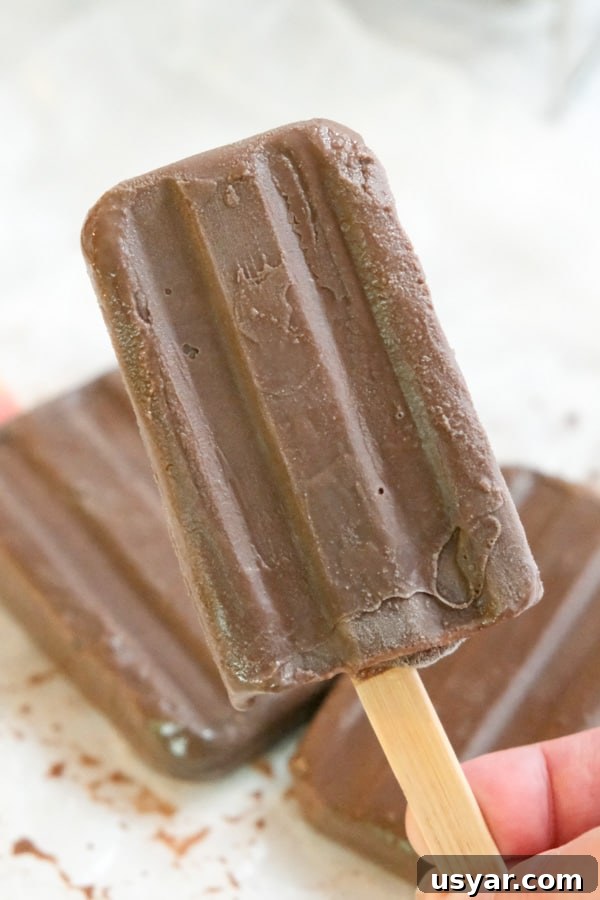 Image for French Hot Chocolate Ice Pops