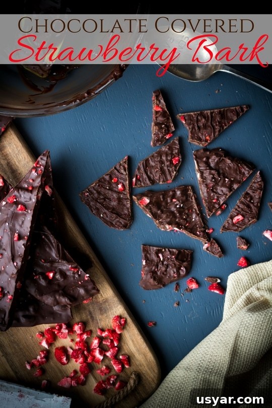 Chocolate-covered strawberry bark close-up