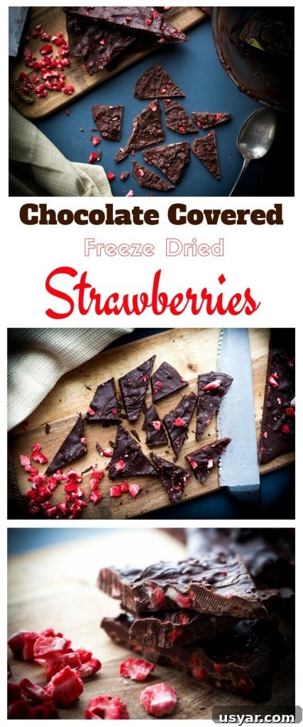 Chocolate Covered Strawberry Bark final image