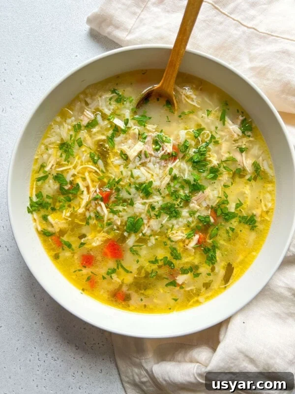 A bowl of The Best Chicken Soup Ever, garnished with chopped parsley, features shredded chicken, rice, carrots, and celery in a clear broth.