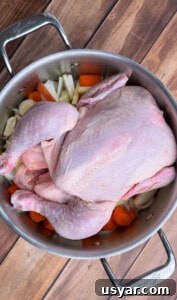A whole raw chicken sits atop vegetables in a large pot.