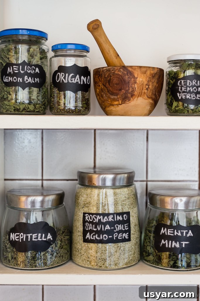 Herbs Herbs