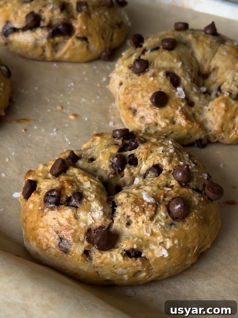 Sea Salt Chocolate Chip Yogurt Bagel Recipe 2 img 8994 1