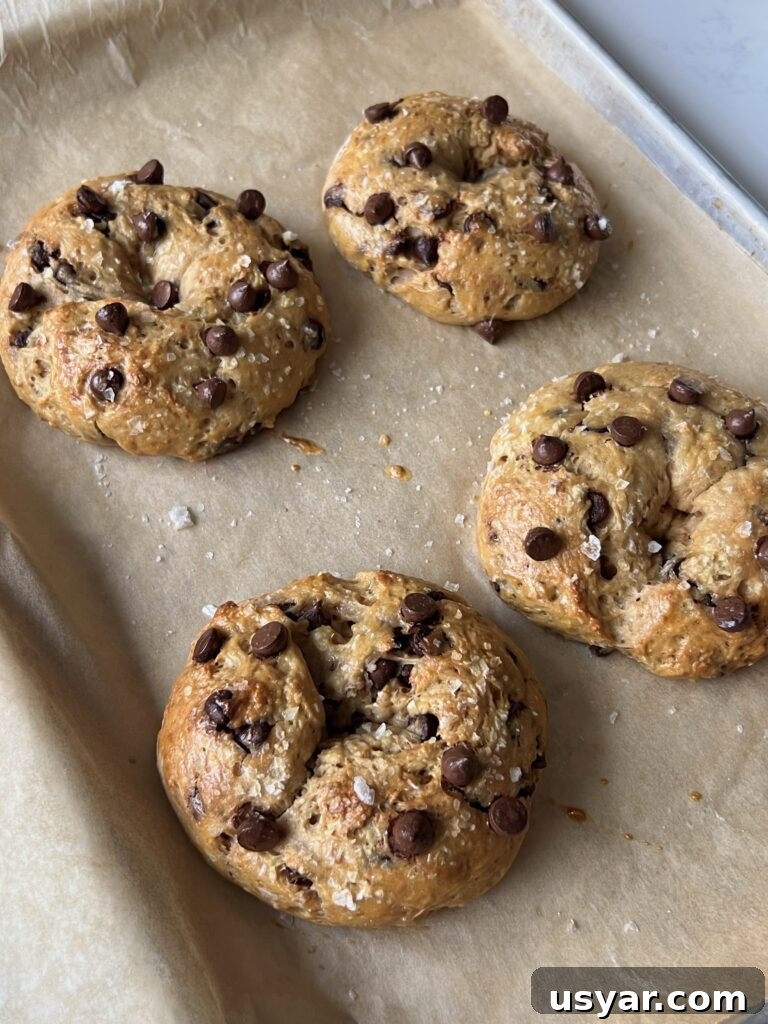 Sea Salt Chocolate Chip Yogurt Bagel Recipe 3 img 8994 2