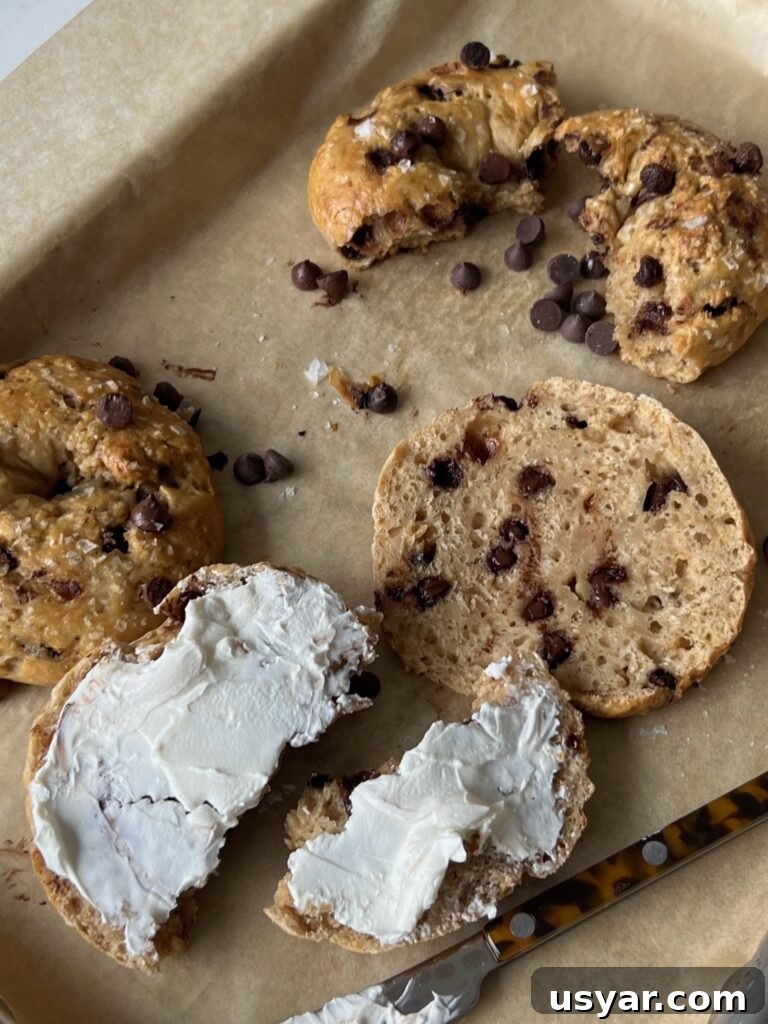 Sea Salt Chocolate Chip Yogurt Bagel Recipe 4 img 8994 3