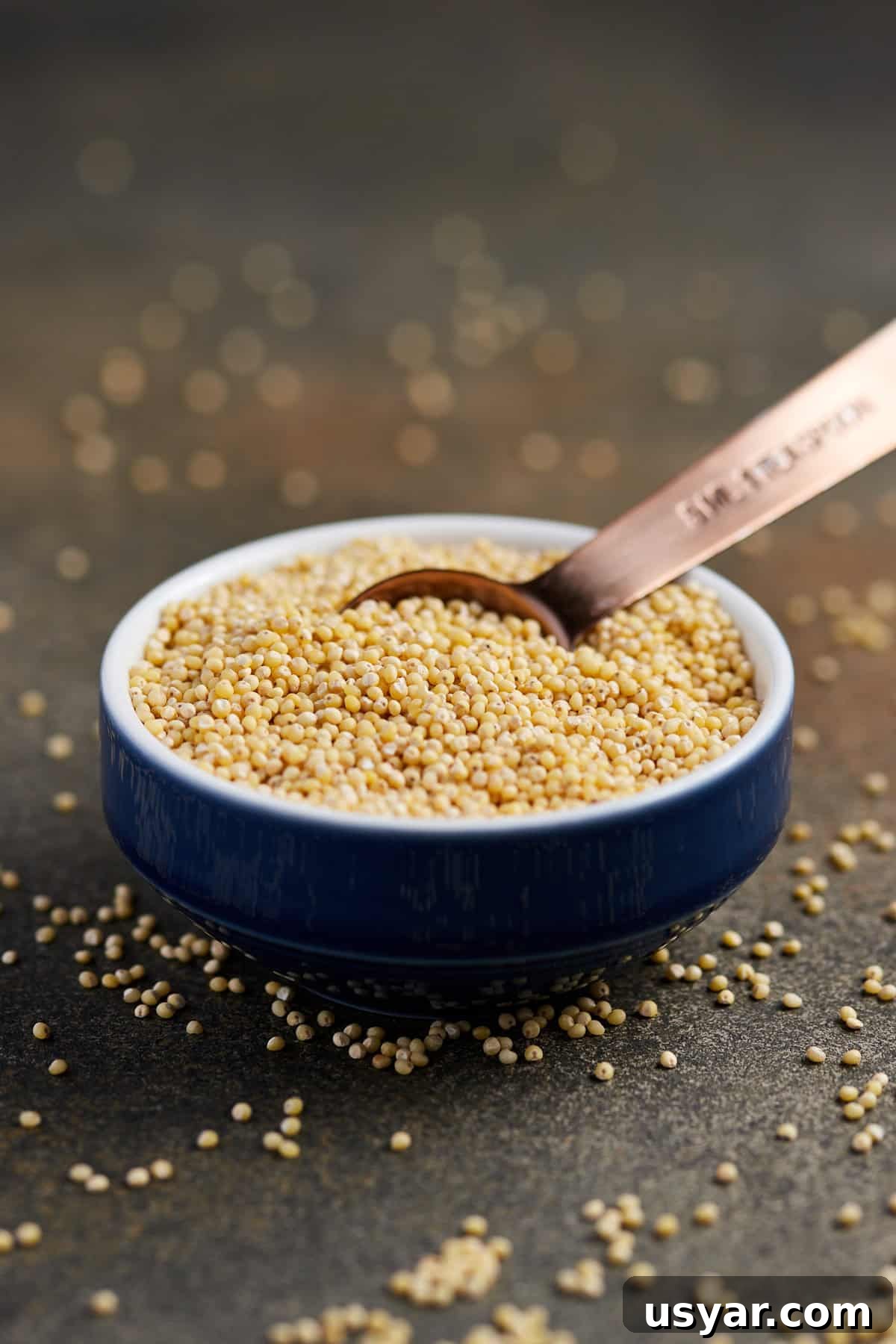 Fluffy Millet: Stovetop and Instant Pot Cooking Methods 2 Photo of a small bowl of uncooked millet on a dark surface with millet scattered around.