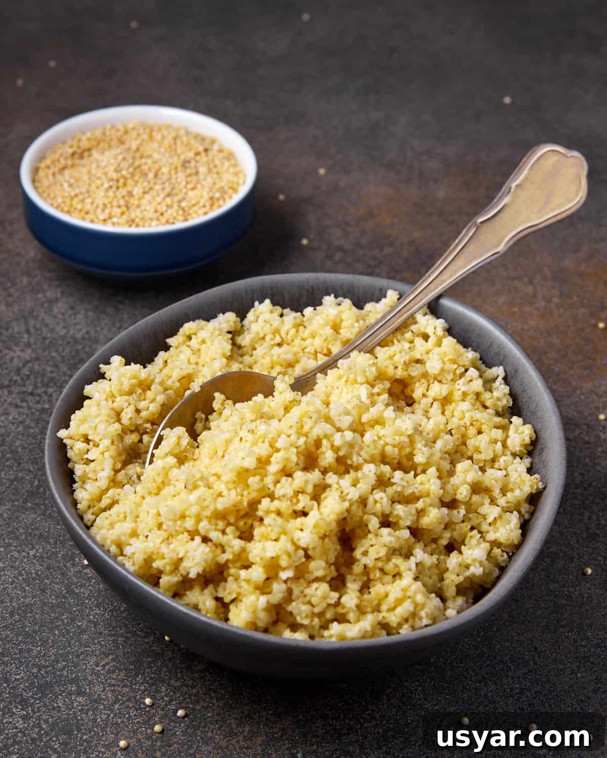 Fluffy Millet: Stovetop and Instant Pot Cooking Methods 3 Photo showing a bowl of cooked millet with a spoon and a smaller bowl of raw millet seeds in the background.