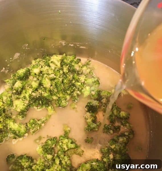 Adding chicken broth to soup