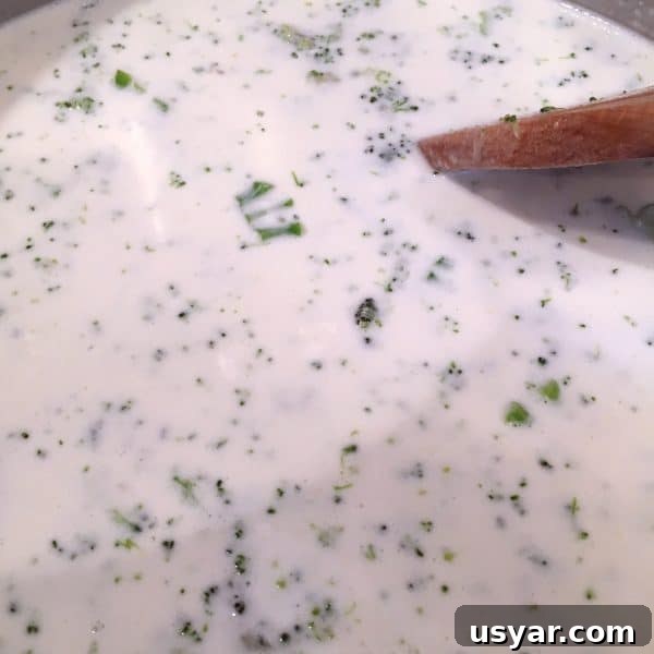 Added cream of broccoli soup