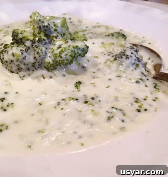 Close up of cream of broccoli soup