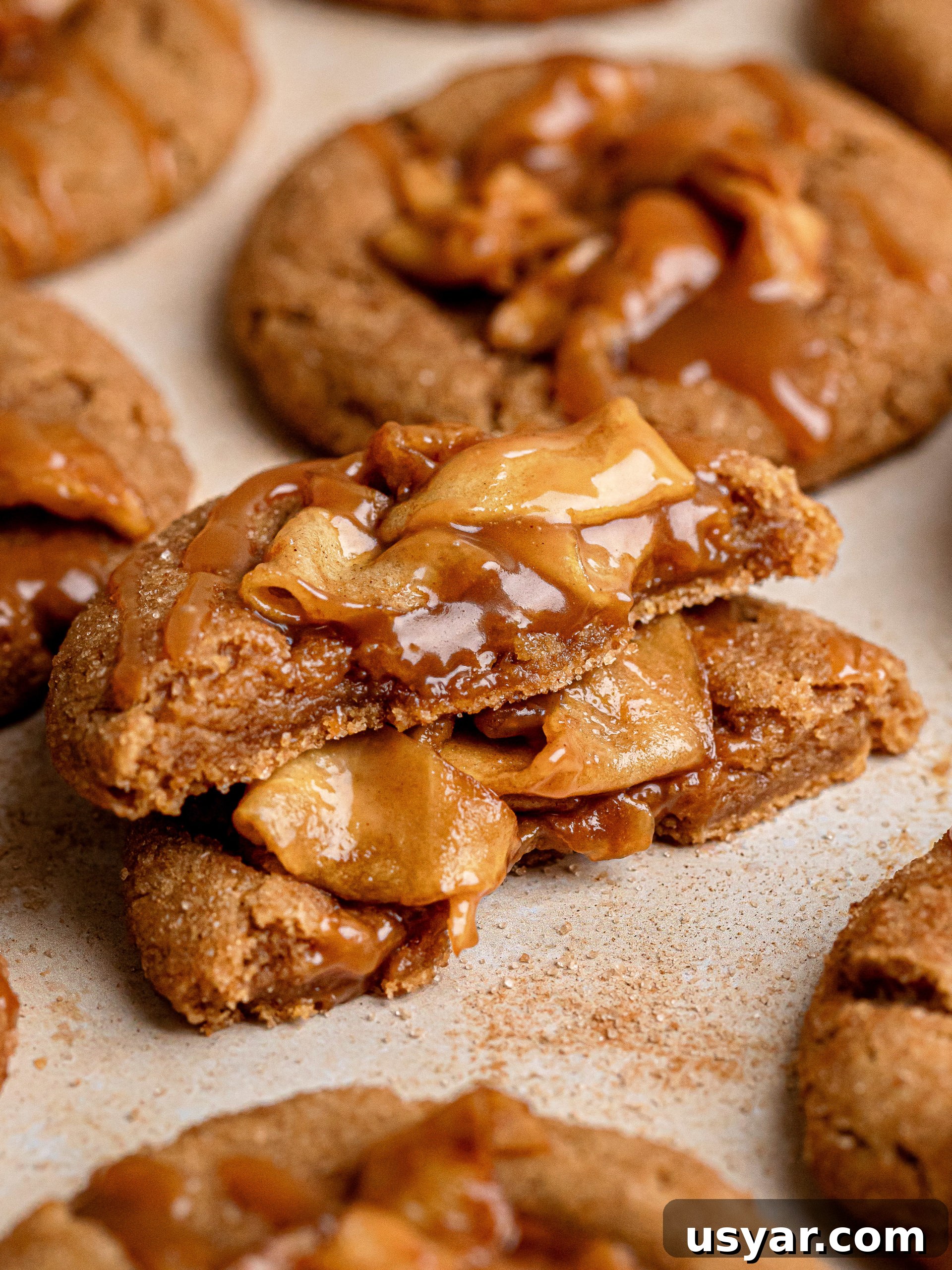 Cinnamon Apple Pie Cookies Recipe 11 Cookie storage
