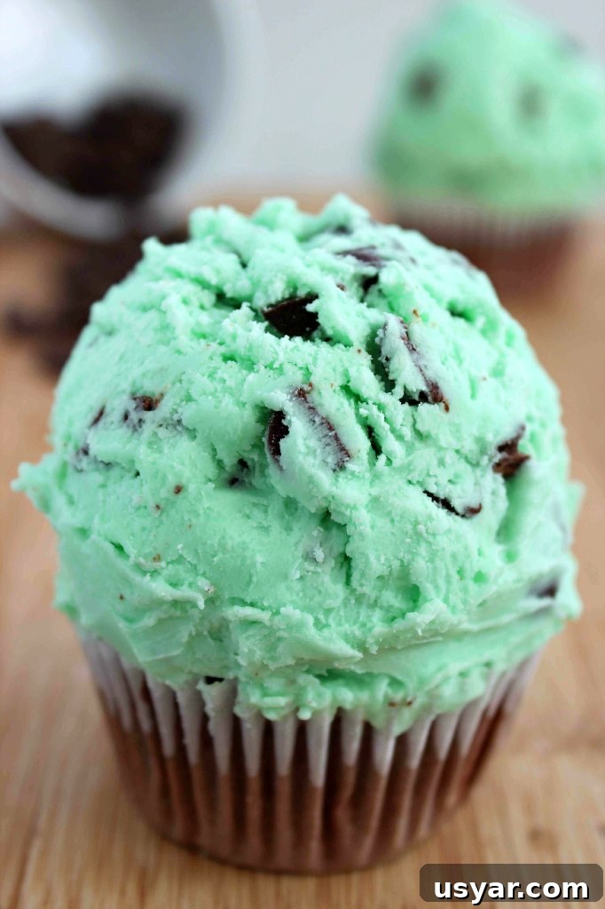 Ice Cream Sundae Cupcakes Recipe 6 Mint Chocolate Chip Cupcakes