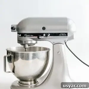Stand mixer