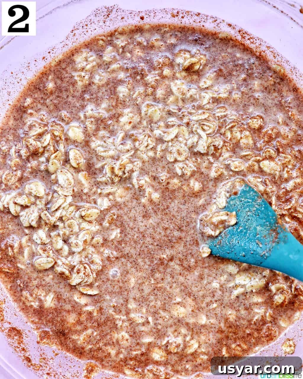 Creamy Biscoff Overnight Oats Recipe 6 mixed ingredients to make Biscoff overnight oats in a large glass bowl.