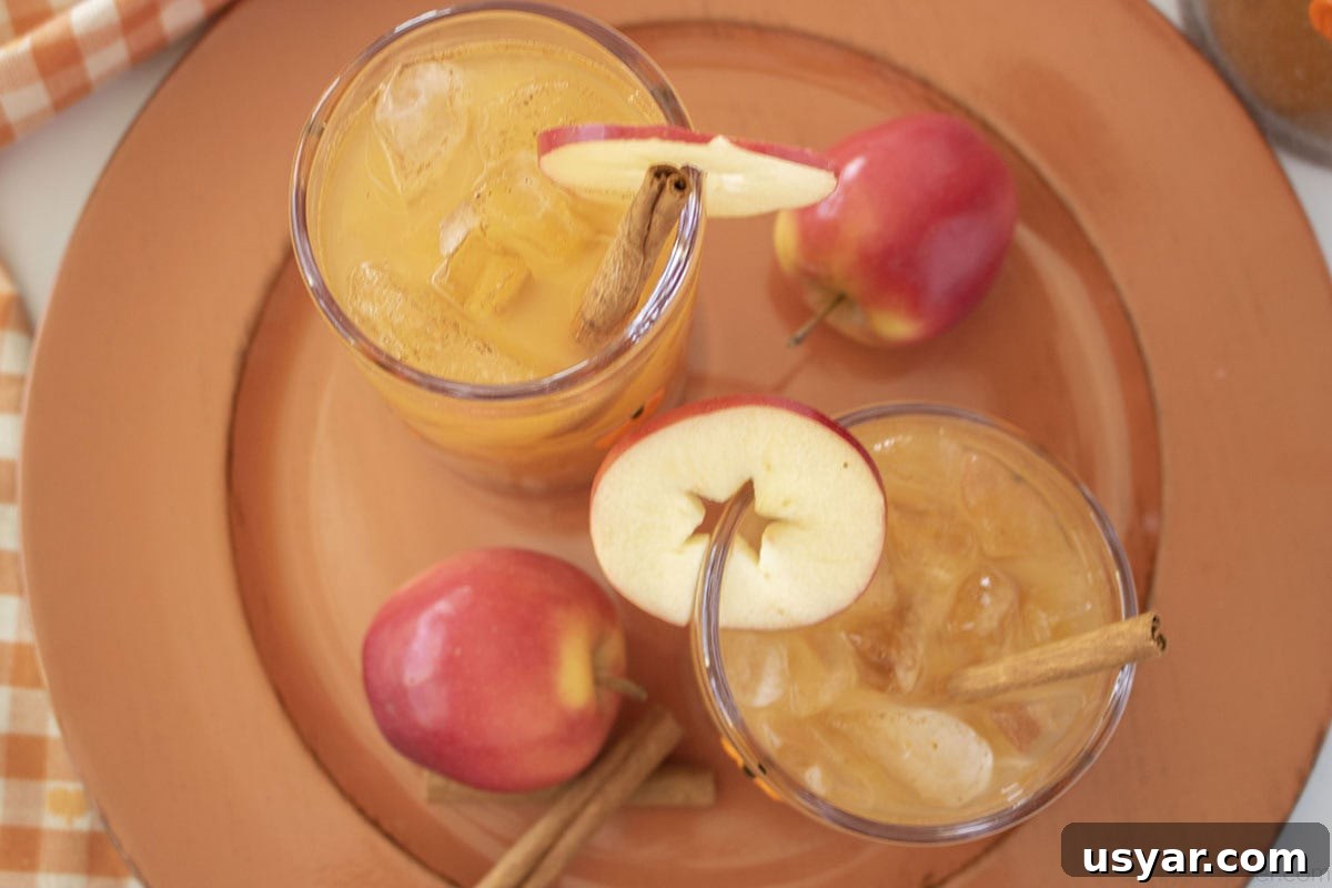 Overhead image of Thanksgiving Punch with apples and cinnamon sticks on an orange charger plate.