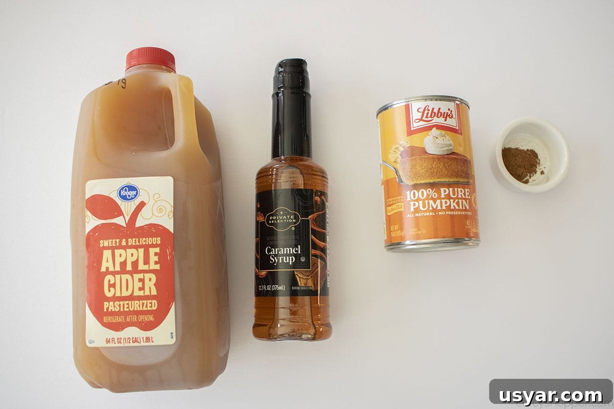 Ingredients for Easy Thanksgiving punch.