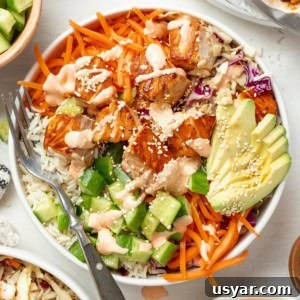 Spicy Mayo Salmon Rice Bowl 12 Salmon rice bowls topped with spicy mayo and sesame seeds.