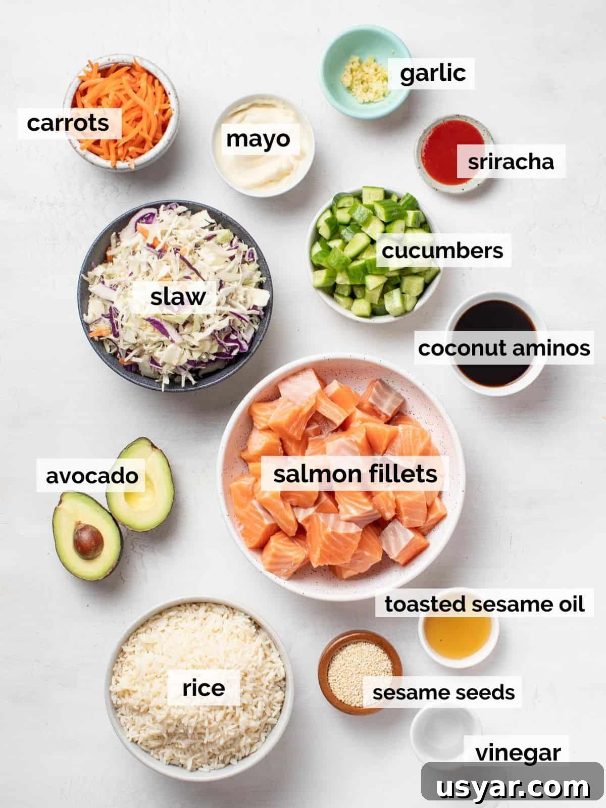 Spicy Mayo Salmon Rice Bowl 3 Ingredients for salmon rice bowls on a white background.