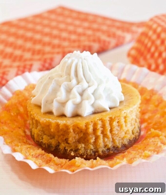 23 Irresistible Pumpkin Desserts for Fall Baking 12 Mini Pumpkin Cheesecakes.