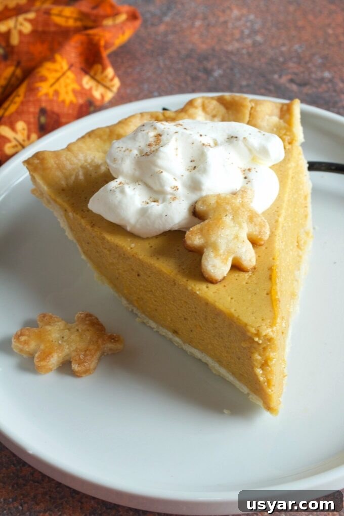 23 Irresistible Pumpkin Desserts for Fall Baking 15 Pumpkin Chiffon Pie.
