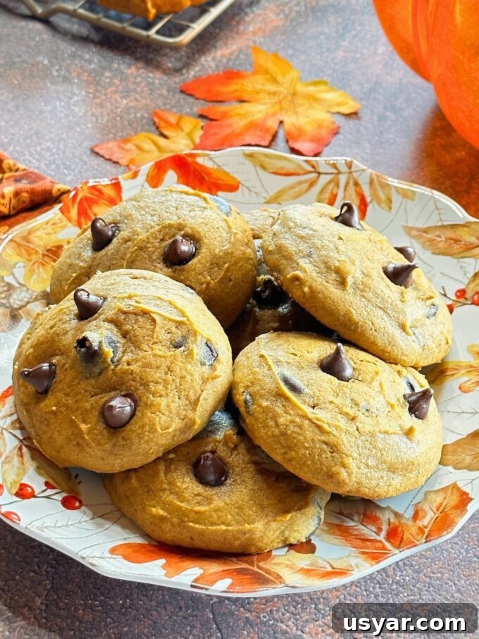 23 Irresistible Pumpkin Desserts for Fall Baking 5 Pumpkin Chocolate Chip Cookies.