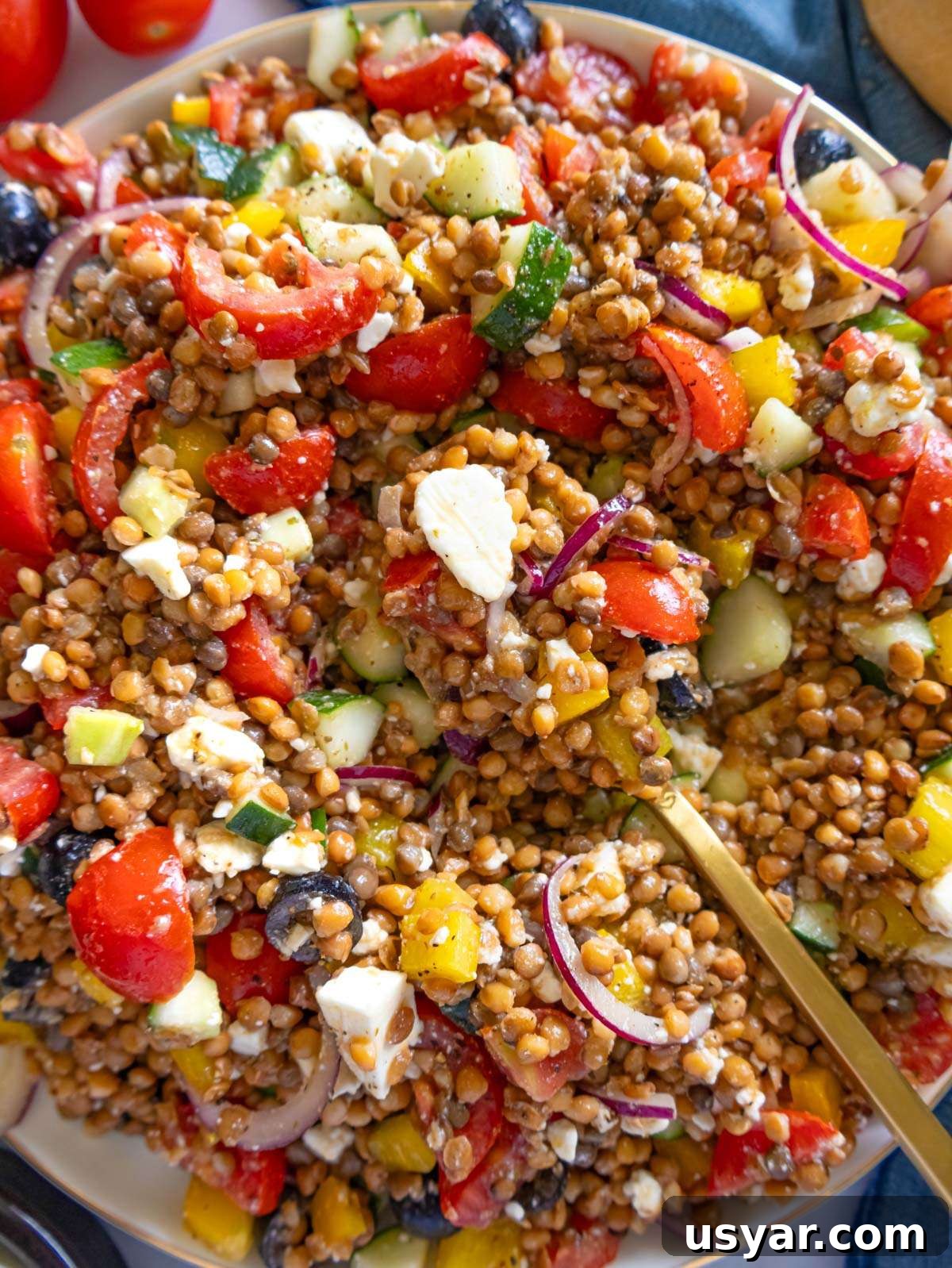 Greek Lentil Salad with Tangy Lemon-Herb Dressing 3 Close up finished Greek lentil salad with feta olives and fresh vegetables.