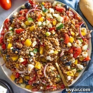 Fresh Greek lentil salad with feta cucumber tomatoes and olives served on a platter.
