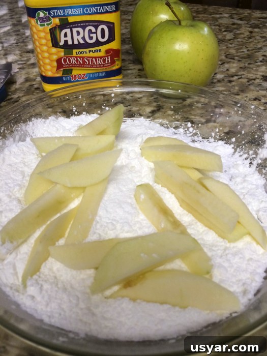 LEGOLAND Apple Fries Copycat Recipe: Cinnamon Sugar Sticks 4 Apple Fries...these copycat apple fries taste just like the original at Legoland!