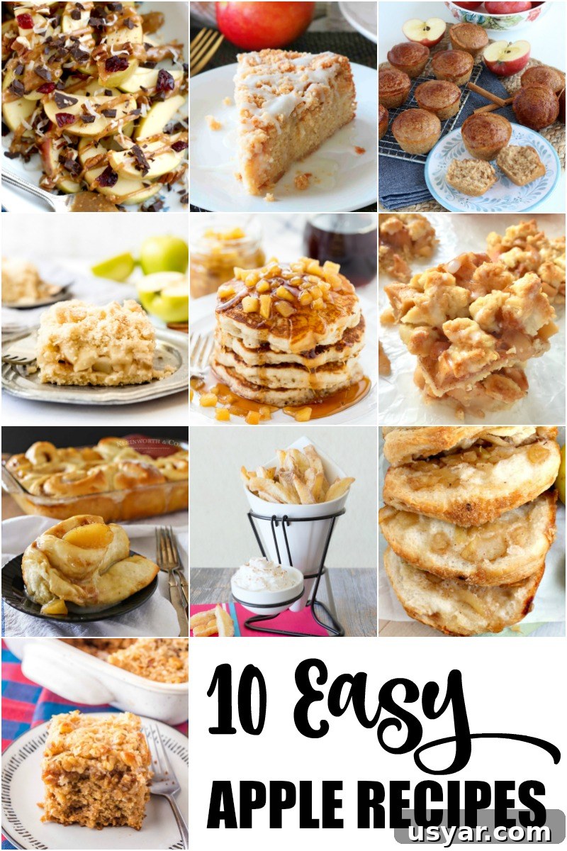 LEGOLAND Apple Fries Copycat Recipe: Cinnamon Sugar Sticks 9 collage of apple recipes