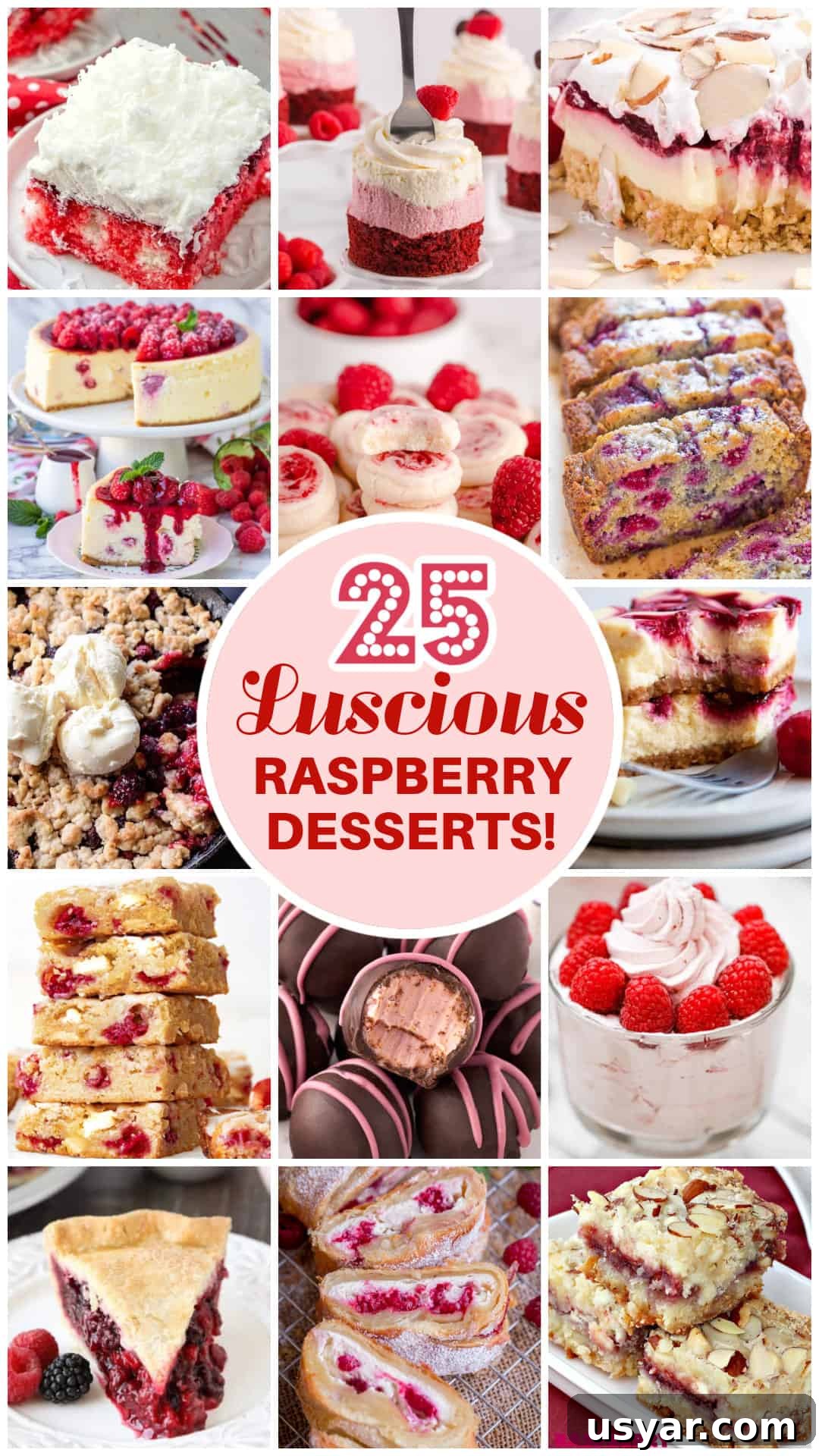 25 Irresistible Raspberry Dessert Recipes 2 25 RASPBERRY DESSERTS