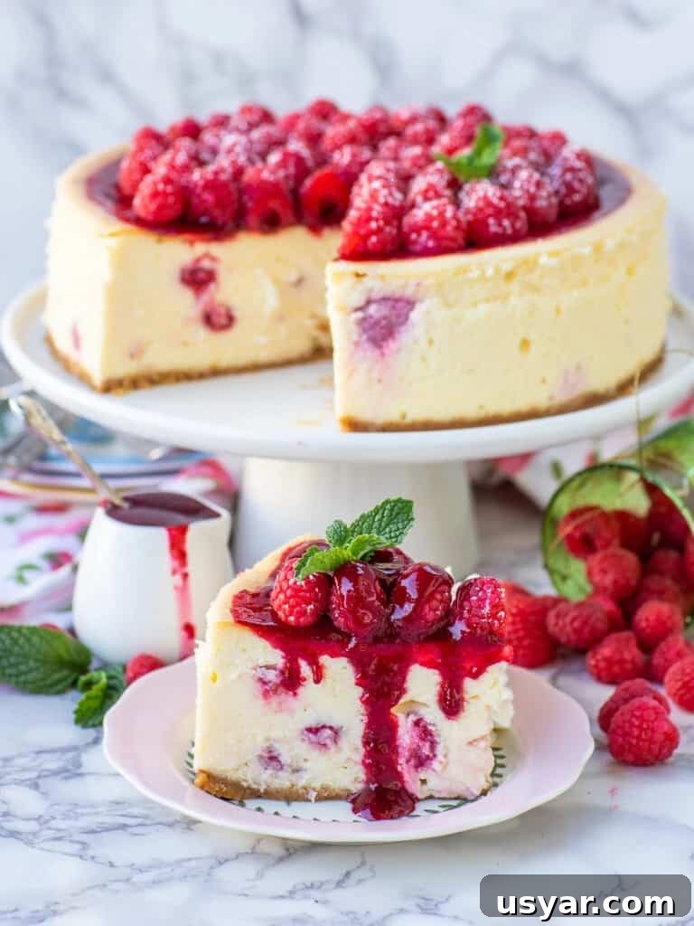 25 Irresistible Raspberry Dessert Recipes 5 25 Luscious Raspberry Desserts