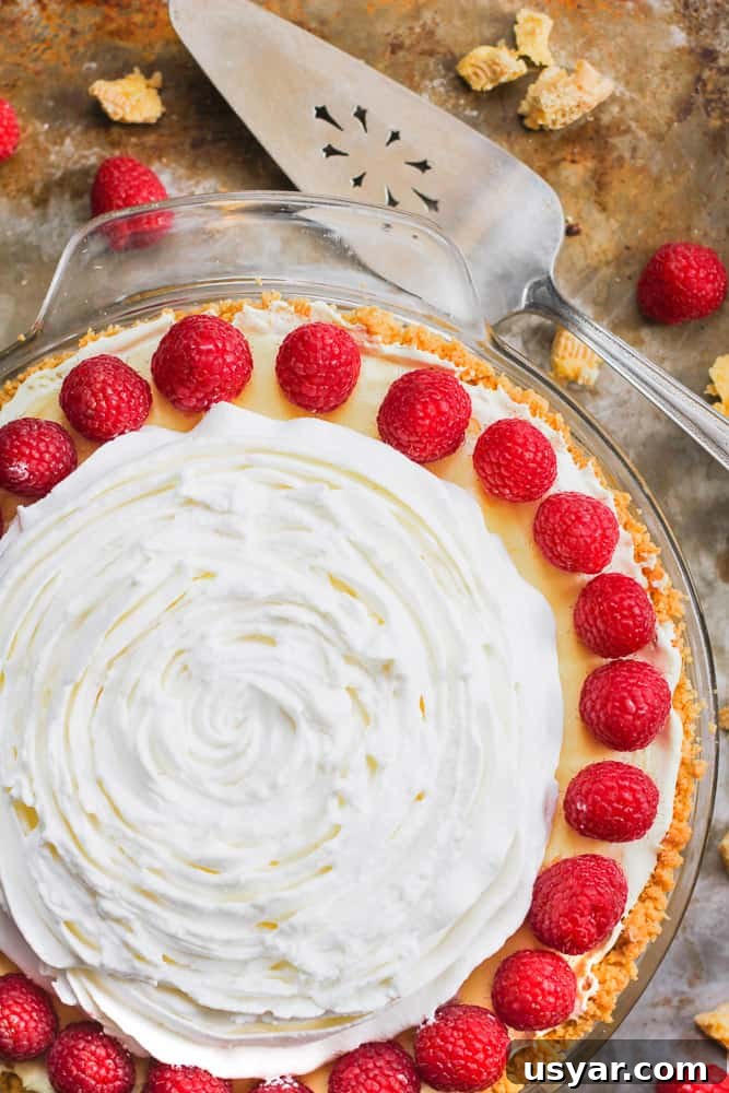25 Irresistible Raspberry Dessert Recipes 6 Raspberry Lemon Dream Pie