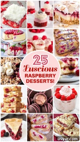 25 RASPBERRY DESSERTS