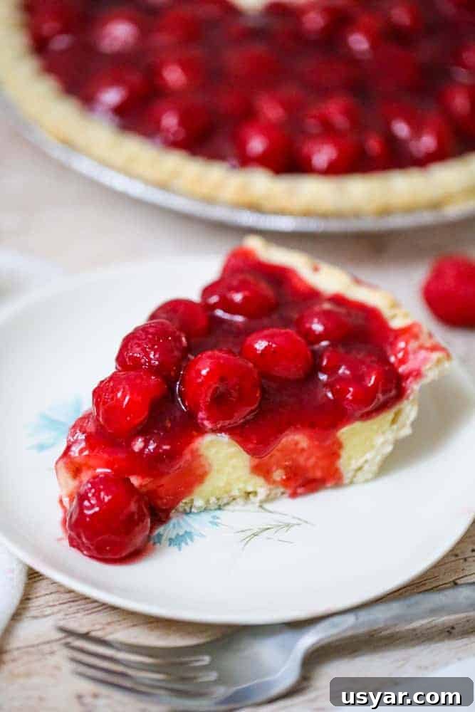 25 Irresistible Raspberry Dessert Recipes 3 Raspberry Vanilla Custard Pudding Pie