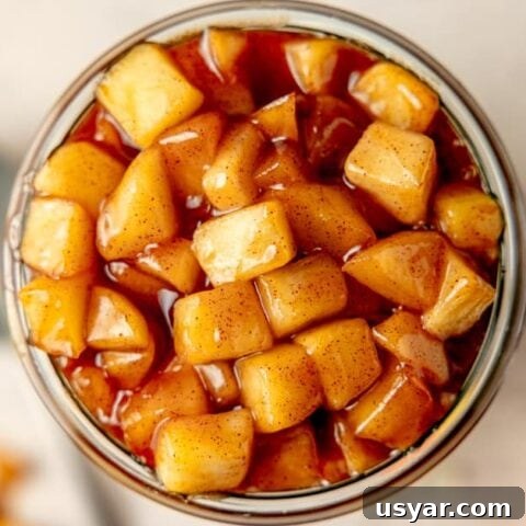 Image for Pre-Cooked Apple Pie Filling: Quick and Easy, Naturally Gluten-Free