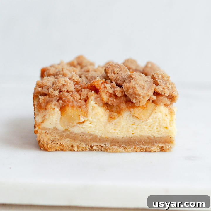 gluten free apple cheesecake bars with streusel topping