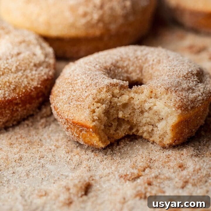 Image for Gluten Free Apple Cider Donuts (Small Batch)
