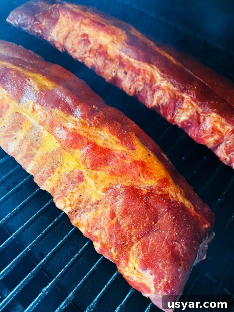 Smoked Ribs with Cherry Coke Glaze 4 ribs on the smoker before cooking