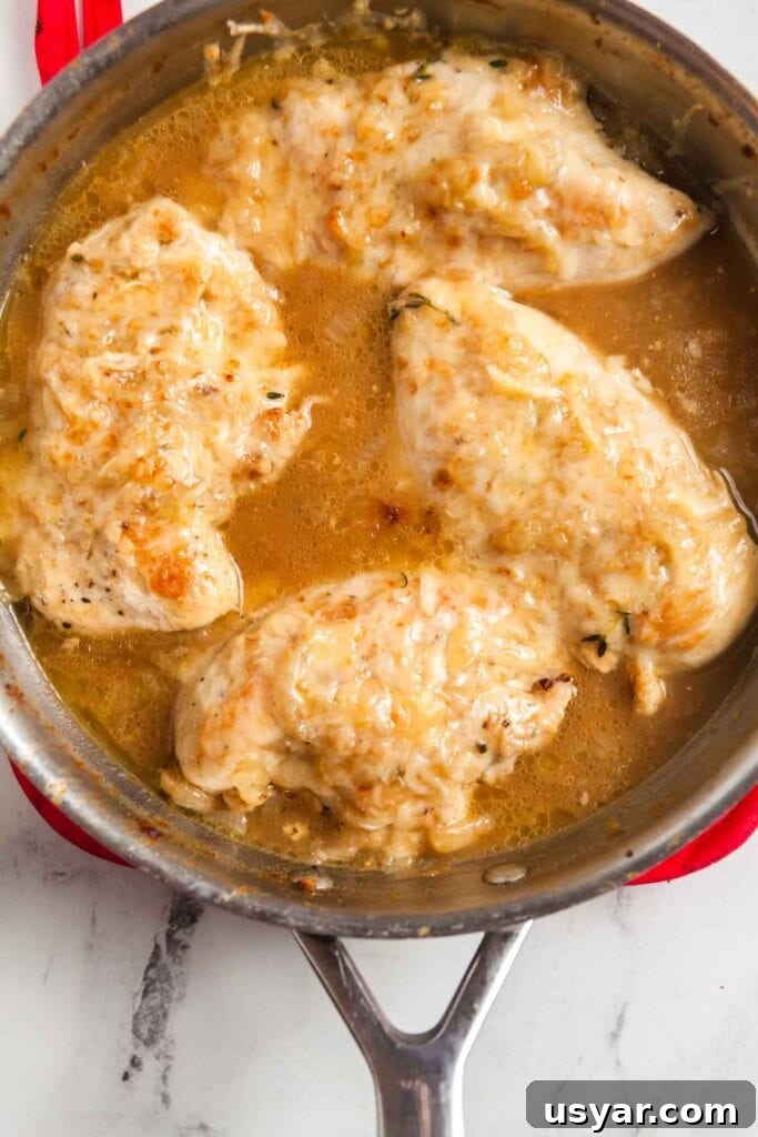 French Onion Skillet Chicken Breasts 5 skillet French onion chicken.